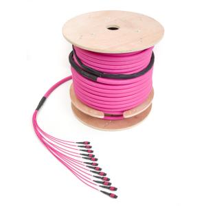MPO - LC patchord MPO - LC patchord